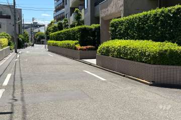 敷地の南東側前面道路(東側から)
