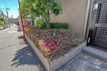 敷地内の各所に植栽スペースが設けられています。