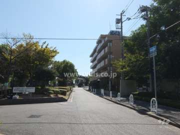 敷地東側の前面道路（江尻川緑道）