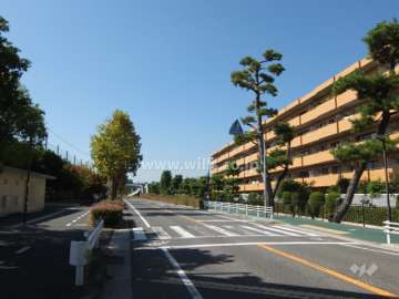 敷地南側の前面道路