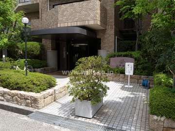 植栽スペースに囲まれたエントランス