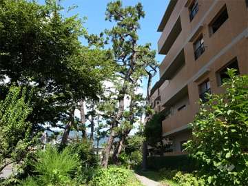 敷地西側の緑地