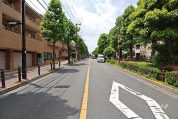 敷地北側の前面道路（西側から）