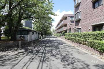 敷地東側の前面道路