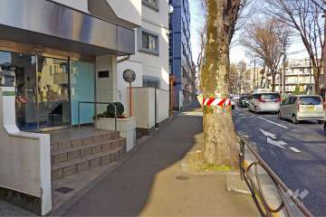 敷地南東側の前面道路（南西側から）