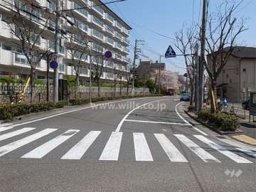 敷地南側の通り。街路樹がきれいです。