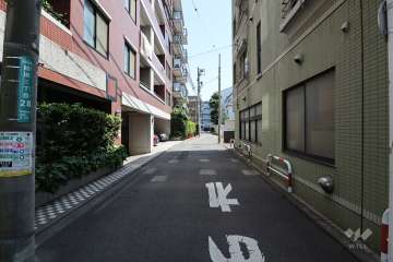 敷地西側の前面道路（北側から）