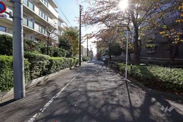 敷地西側の前面道路