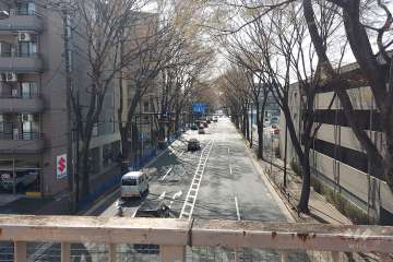 敷地北側の前面道路（国道20号線・甲州街道）