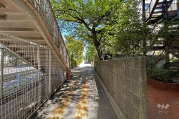 敷地西側の前面道路（南側から）