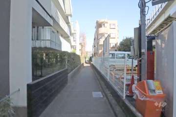 敷地西側の前面道路（南側から）