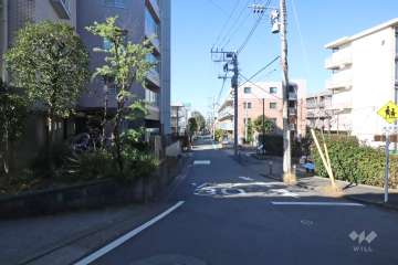 敷地北側の前面道路（東側から）