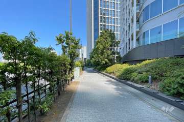 敷地南西側の前面道路