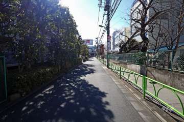 敷地西側の前面道路(北側から)