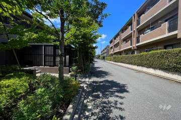 敷地北側の前面道路（東側から）