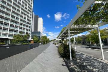 敷地の東側前面道路（南側から）