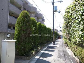 敷地北側の前面道路