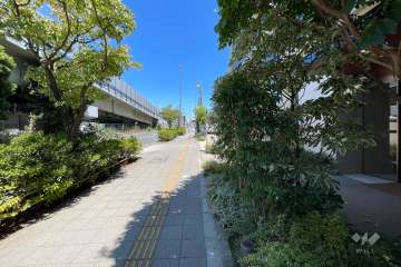 敷地西側の前面道路（南側から）