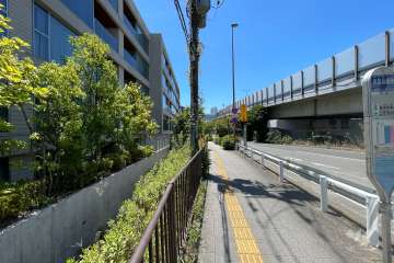 敷地西側の前面道路（北側から）