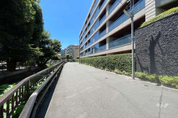 敷地東側の前面道路（北側から）