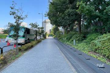 敷地南西側の前面道路（南東側から）