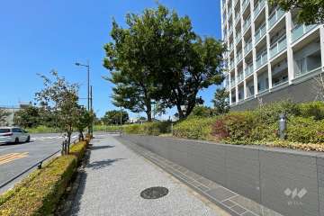 敷地南東側の前面道路