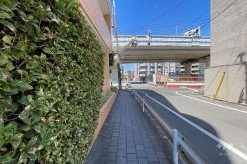 敷地東側の前面道路（南側から）