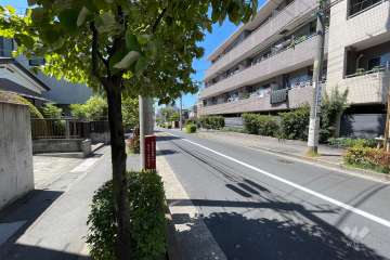 敷地南西側の前面道路（南東側から）
