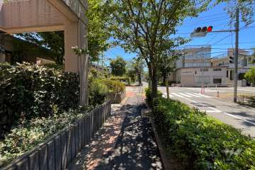 敷地西側の前面道路（北側から）