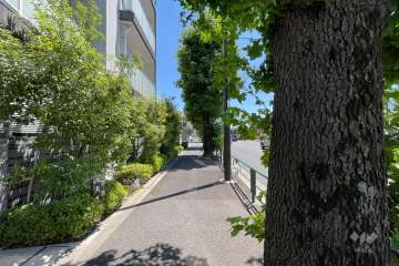 敷地西側の前面道路　