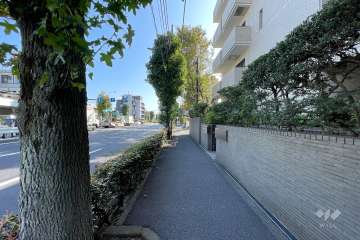 敷地の北側前面道路（西側から）