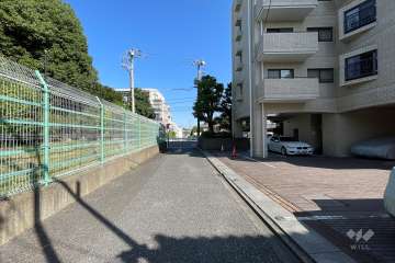 敷地の西側前面道路（南側から）