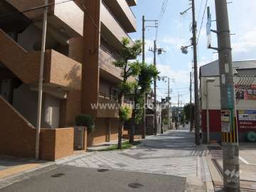 敷地西側の前面道路（北側から）