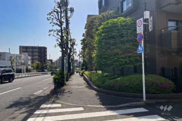 敷地北側の前面道路（西側から）