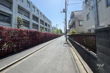 敷地東側の前面道路（北側から）