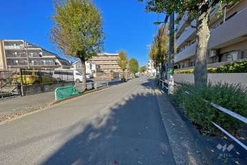 敷地西側の前面道路（南側から）