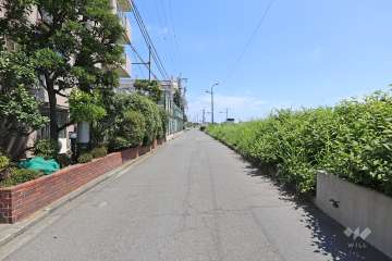 敷地南側の前面道路（西側から）