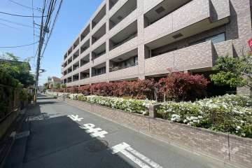 敷地南側の前面道路（東側から）