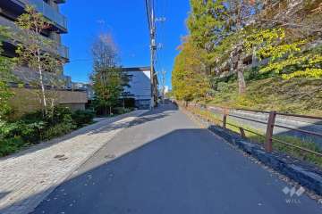 敷地北側の前面道路（東側から）