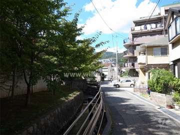 敷地西側の前面道路。道を挟んで川が流れています。