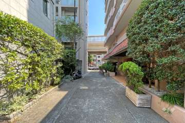 敷地東側の前面道路