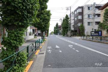 敷地南東側の前面道路（南西側から）