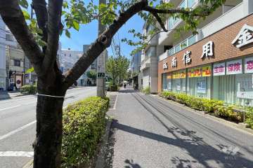 敷地南側の前面道路（東側から）