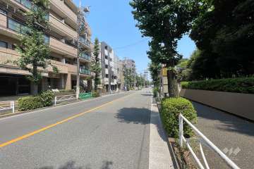 敷地東側の前面道路