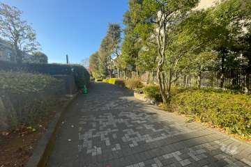 敷地南側の前面道路　