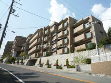 敷地の南側は2車線の通りに面しています。