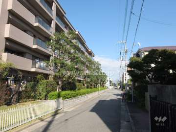 敷地南側の前面道路