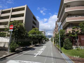 敷地東側の前面道路。敷地の3方が道路に面しています。