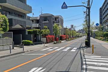敷地西側前面道路(北西側から)