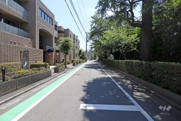敷地北西側の前面道路（北東側から）